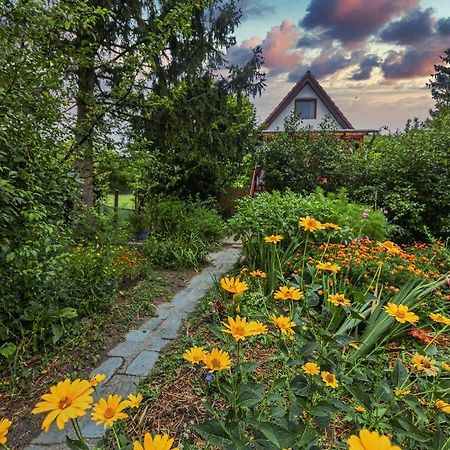 Fanima Vendeghaz Appartement Verőcemaros Buitenkant foto