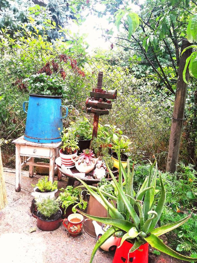 Fanima Vendeghaz Appartement Verőcemaros Buitenkant foto