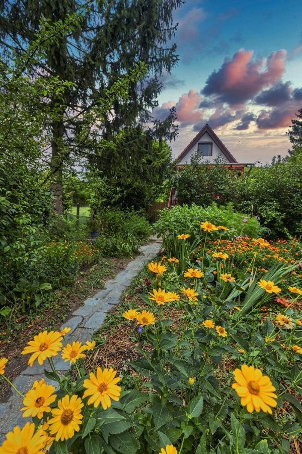 Fanima Vendeghaz Appartement Verőcemaros Buitenkant foto